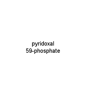 pyridoxal 59-phosphate